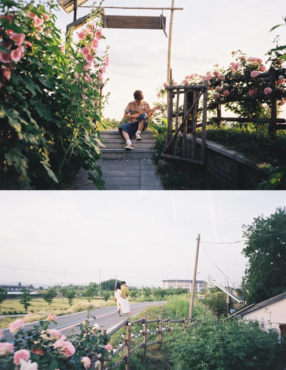 🎞️
