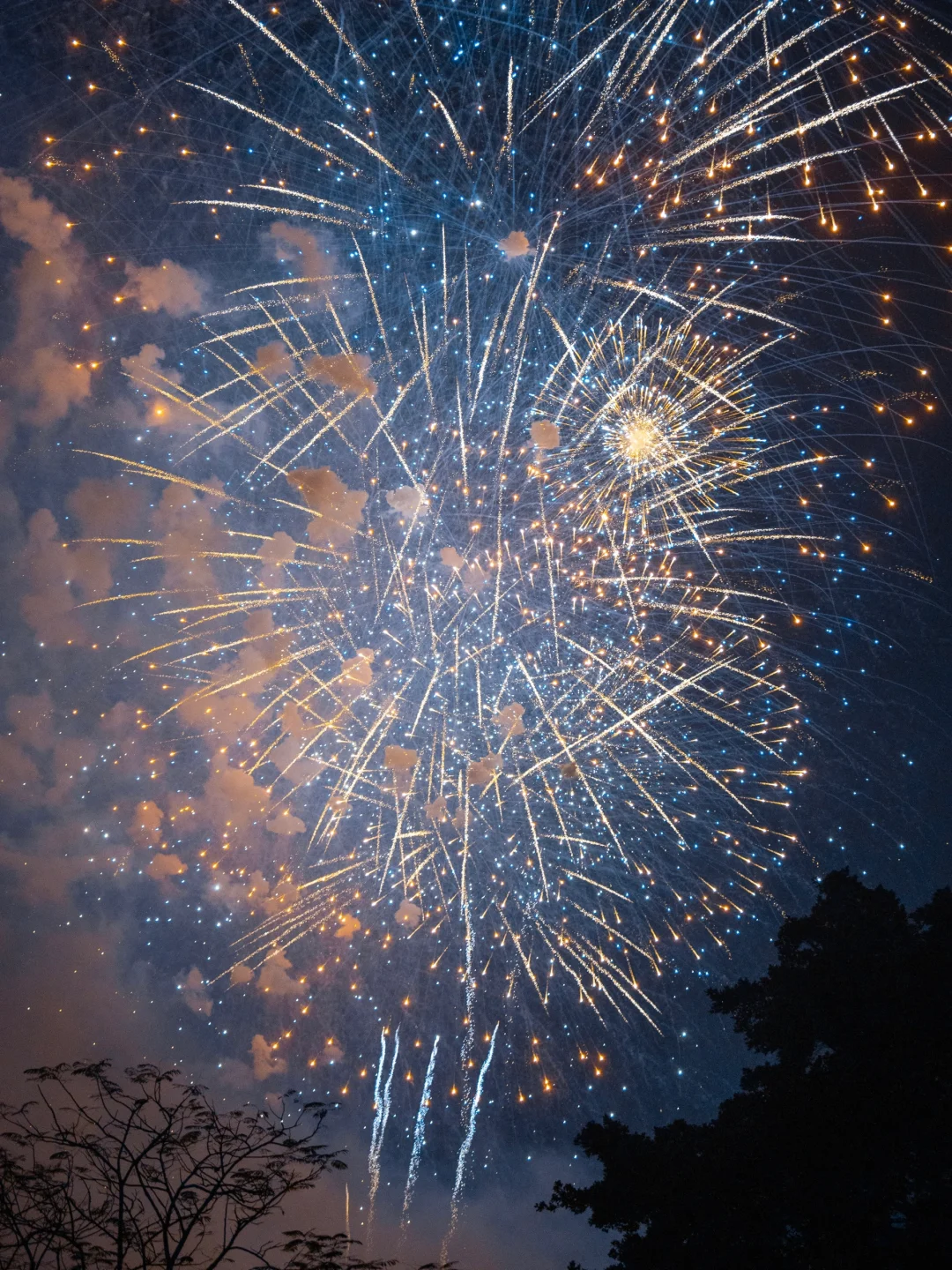广州放了迪士尼一个月的烟花量🎆