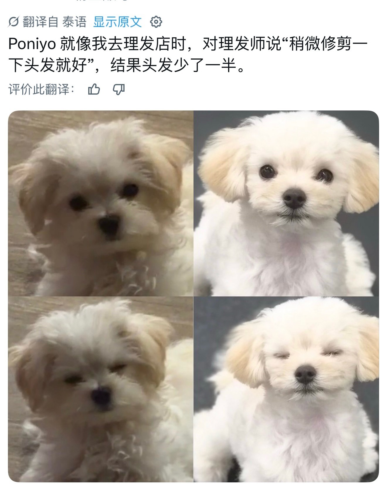 心情是：哎呀天杀的想跟理发师拼了 