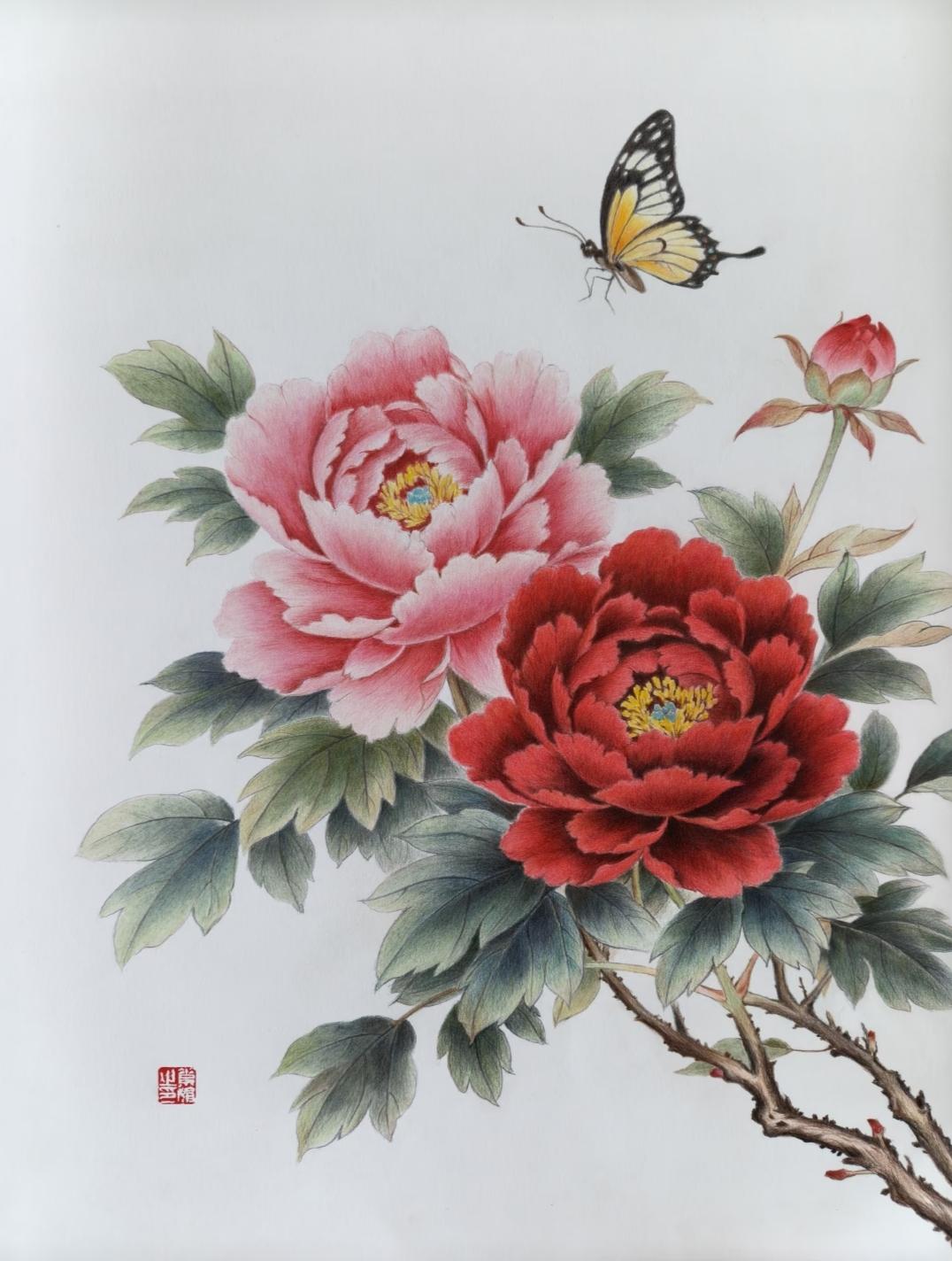 素材|彩铅手绘牡丹（线稿+彩稿）
粉牡丹浅笑，红牡丹燃情，彩蝶绕芳丛。这般繁花似