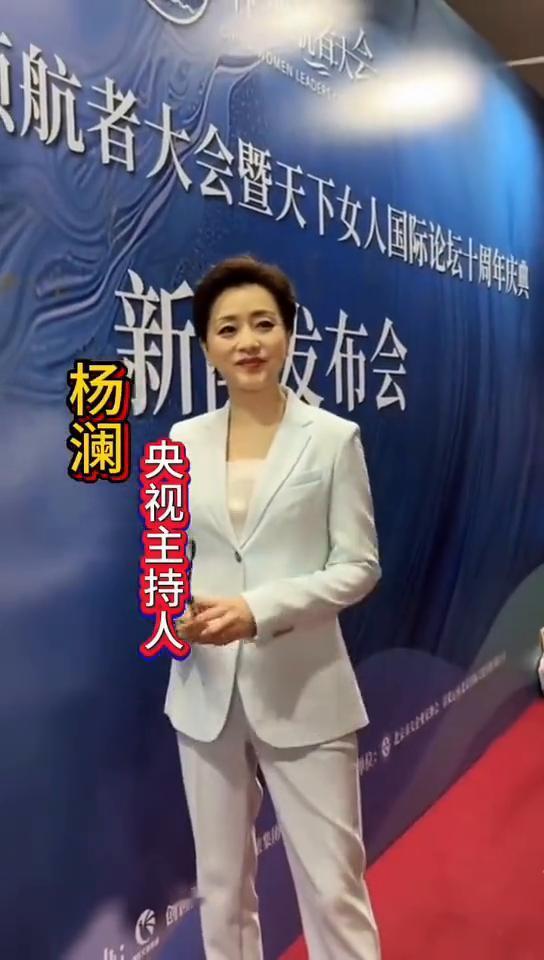 董卿、朱车、周涛、庚辉、任鲁豫、杨帆、倪萍。