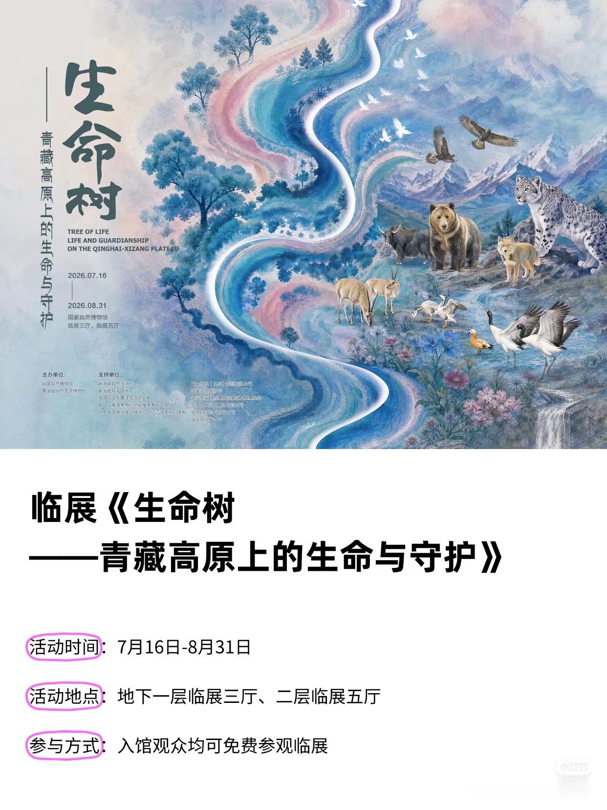 我就问问哪部剧能像生命树这样跟博物馆联动啊？真·摆进博物馆的好作品