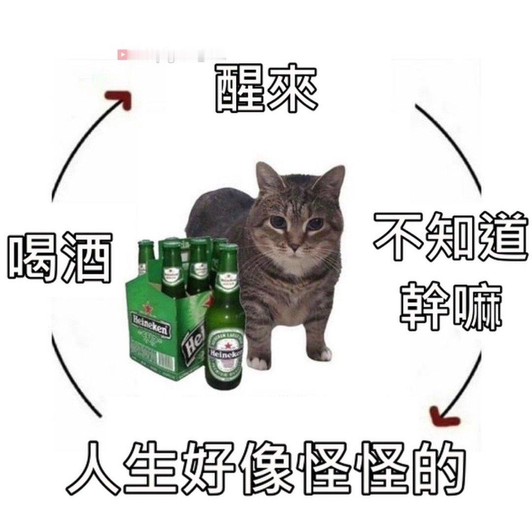 酒醒酒醉日复日#meme# ​​​