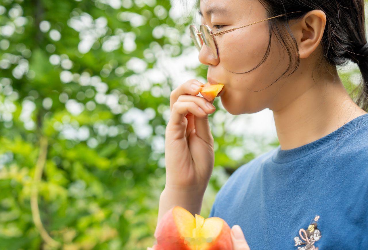 宁波海曙龙观黄桃迎来最佳采摘期 6月11日消息，初夏时节宁波海曙区龙观乡某农场的