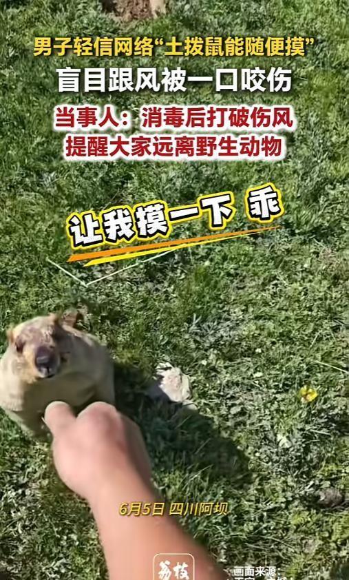 “不能什么话都信！”6月5日，在四川阿坝，一名男子在野外遇见了一只直立如哨兵的土