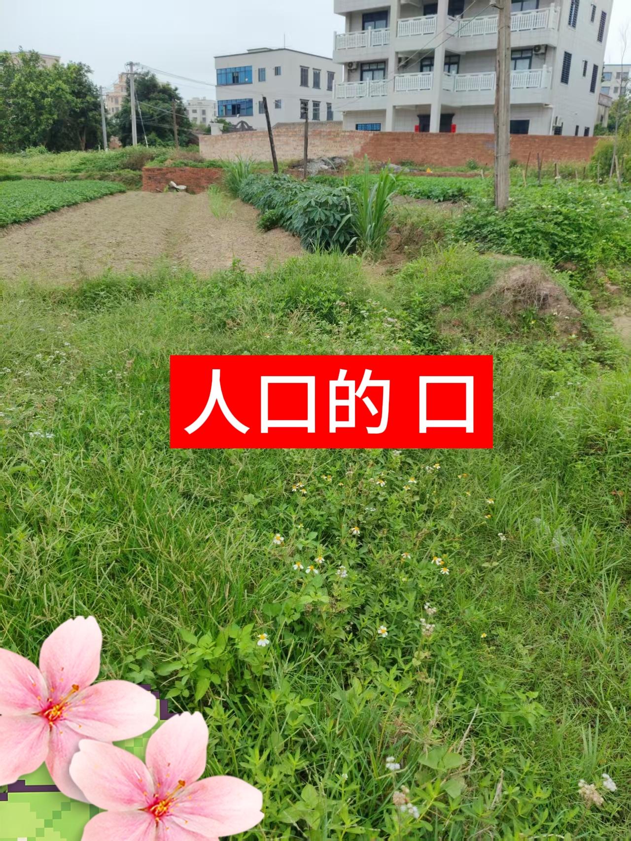 人口的口字
加三笔，是啥字？