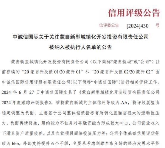 城投蒙自新型城镇化开发投资有限责任公司因与项目施工单位存在纠纷等原因被纳入被执行