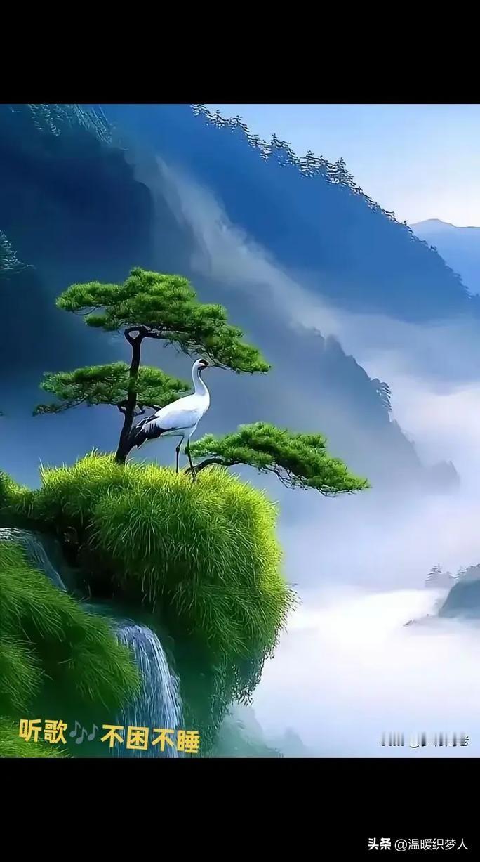 很治愈的一段话：“人生最难熬的不是没人懂你，而是你终于学会了不再解释。”

这句