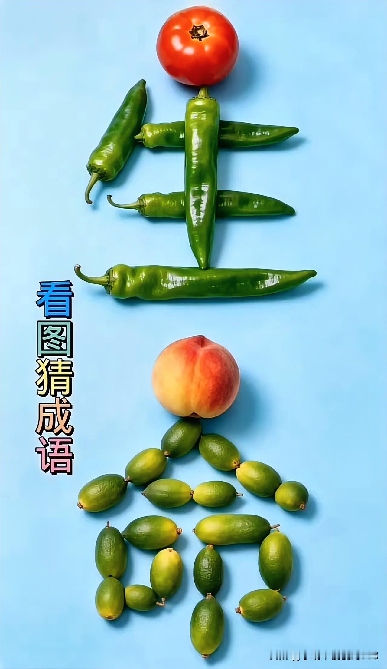 果香满溢，辣椒红艳
给仙人掌换盆，怕扎手就戴了厚厚的橡胶手套。结果没拿稳，花盆脱