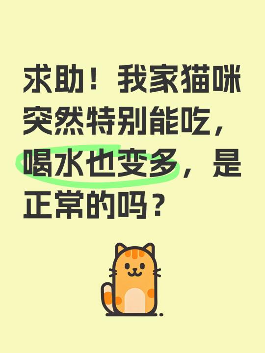 猫猫求助贴