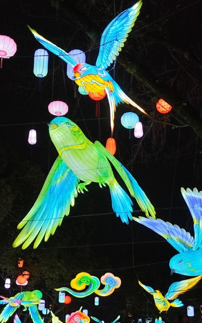 拖到二月初一，总算把那正月里错过的花灯给补上啦！看着满街流光溢彩，终于懂了古人为