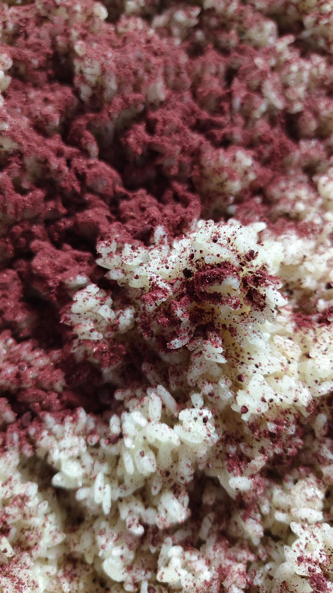 火炙紫糯也叫血糯 营养丰富！花青素高！血糯米含有大量的生活性物质，它的...
