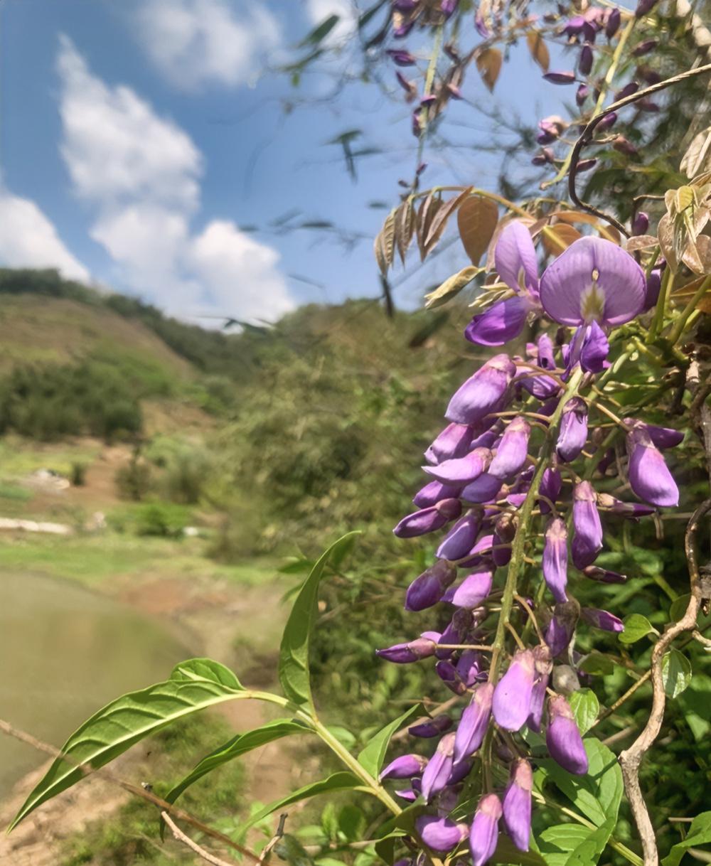 给大伙提个醒，提前做好准备！今年清明交节精准定在4月5日凌晨2点39分43秒，属