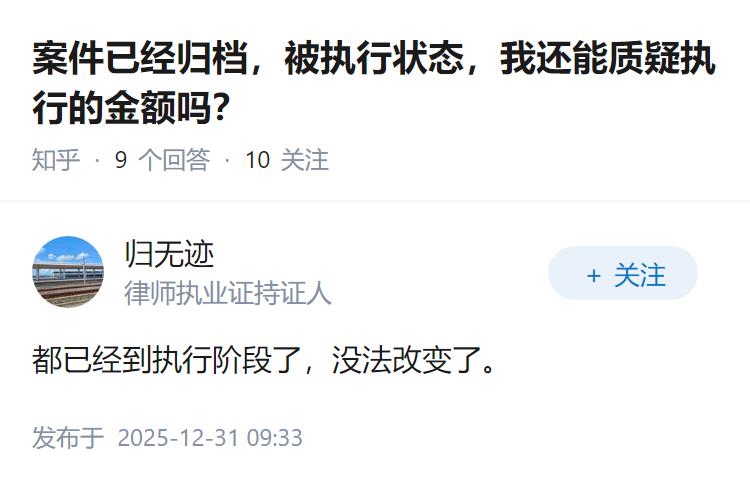 案件已经归档，被执行状态，我还能质疑执行的金额吗？