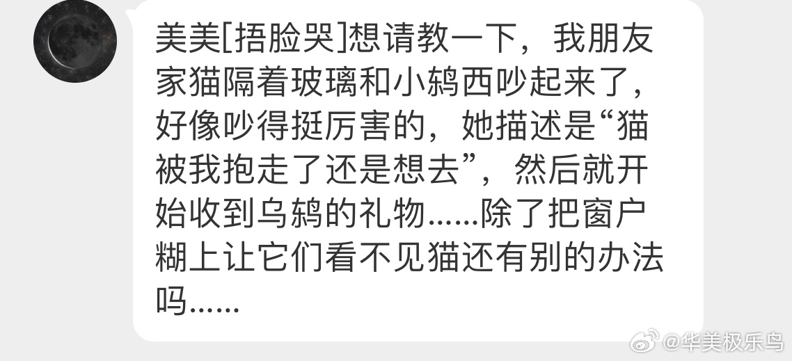 不想搬家的话 尽快把窗帘拉起来，起码一段时间内都别让屋里的猫被窗外的乌鸫看到，禁