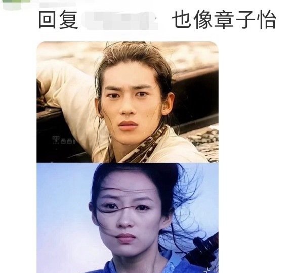 网友：一个时代有一个时代的章子怡和巩俐 ​​​