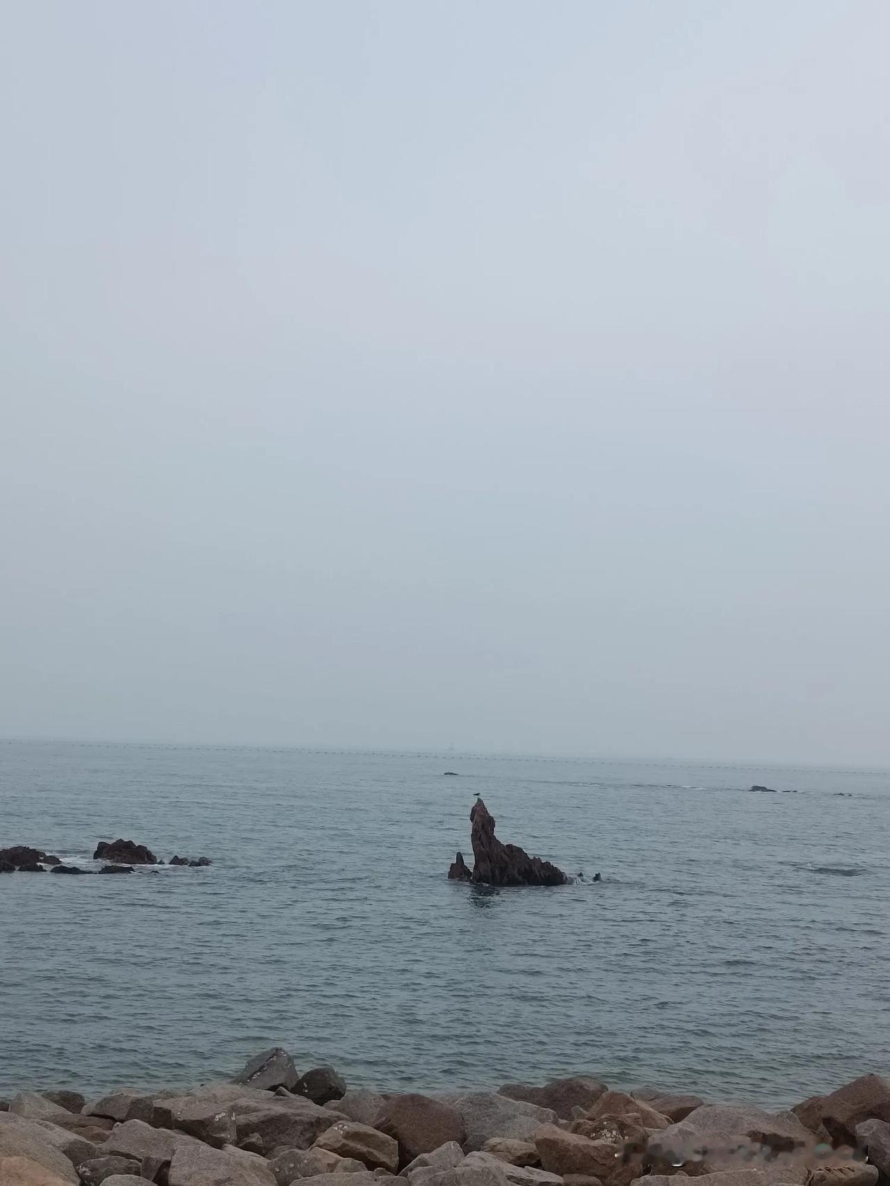 天地一沙鸥