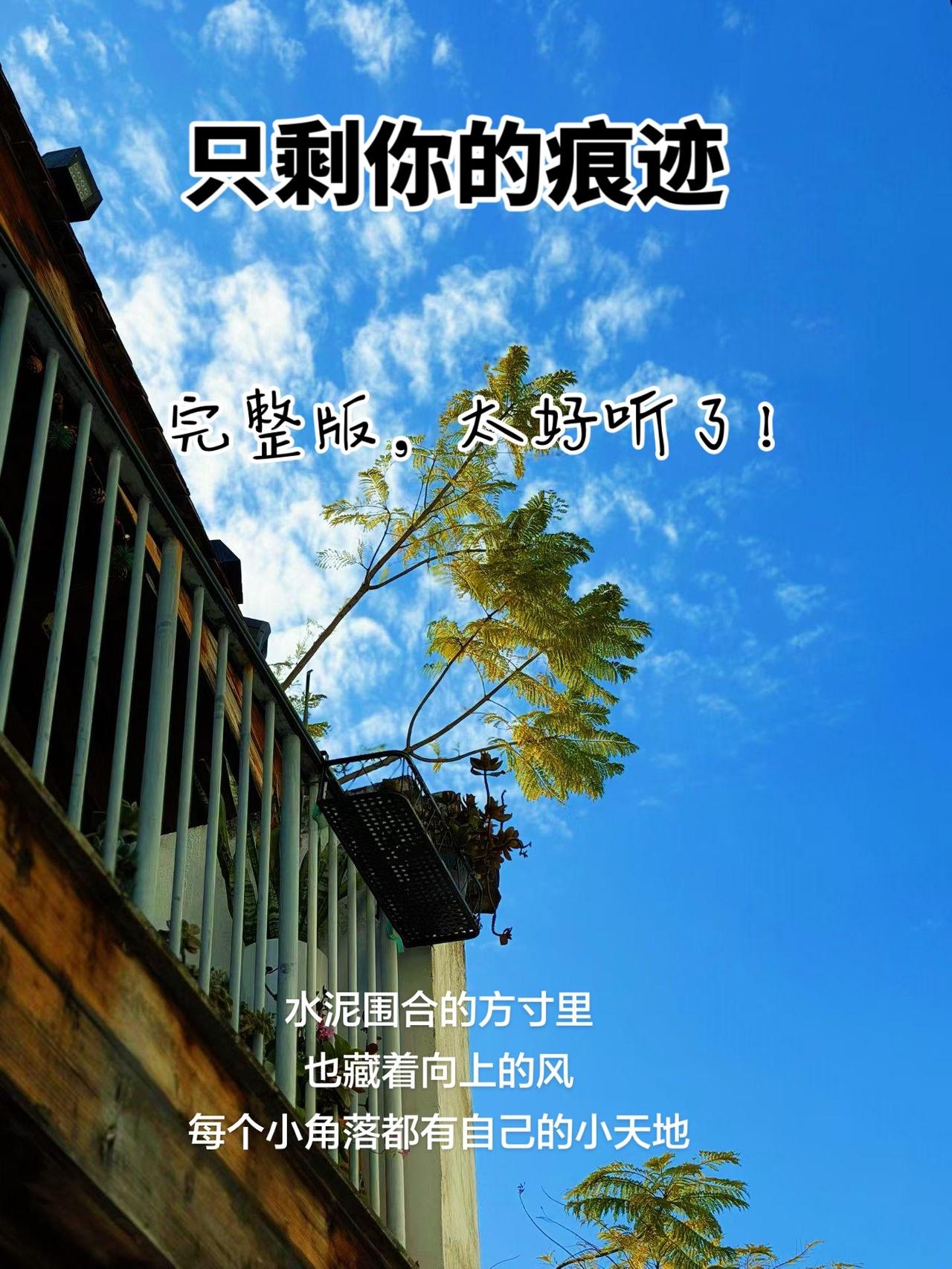 只剩你的痕迹，太喜欢这调调了，经典的旋律越听越上头，更能治愈人心，慢慢听，歌里都