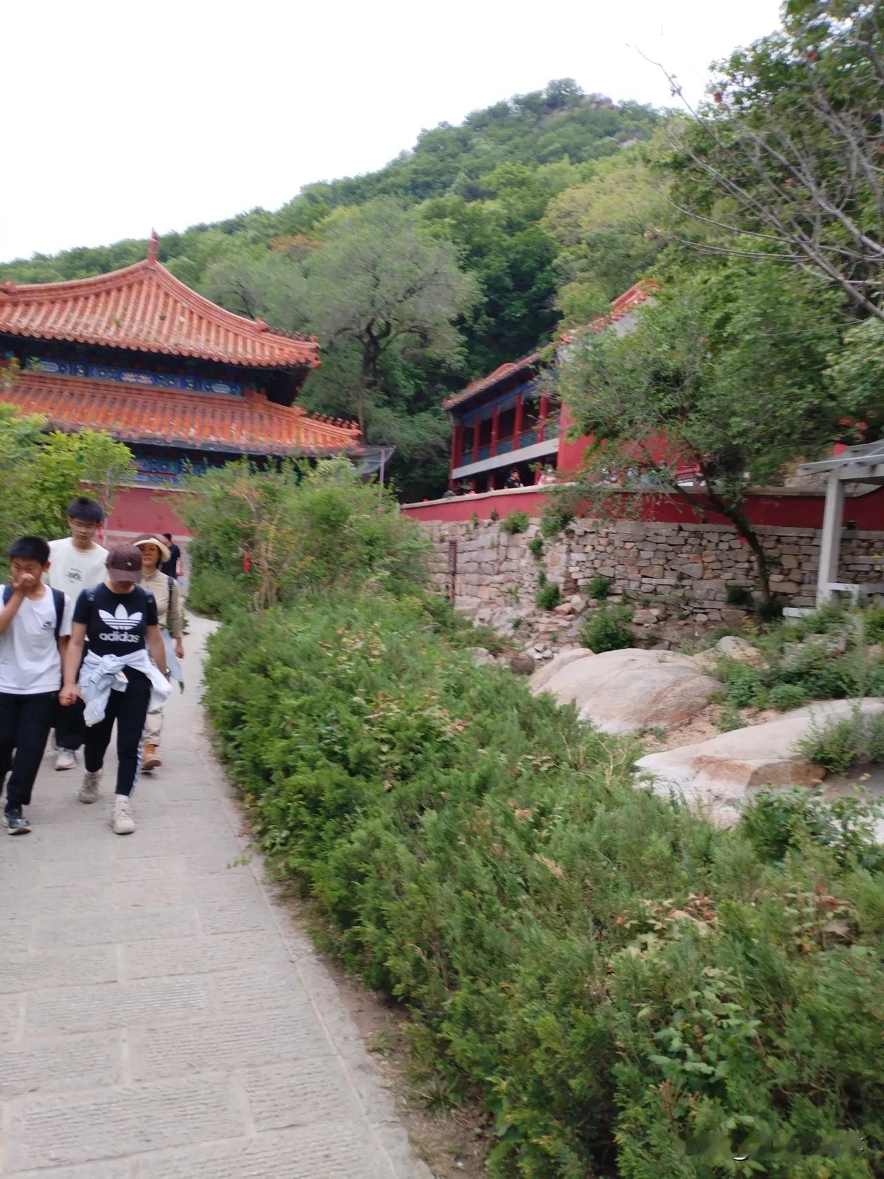 在盘山游玩时，沿途那些美妙风景，乘坐览车是看不到的，乘坐者只能瞧见山顶的景色！