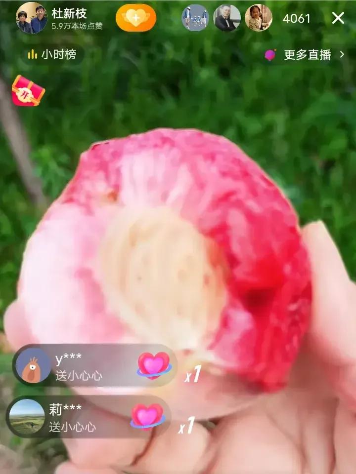 杜大娘今天在摘桃子。
现在的季节正是水果成熟的时节。虽然被许多人诟病，被许多人指