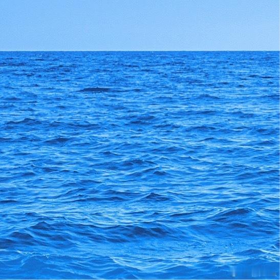 做一个温暖的人，不求大爱，只求小善。 