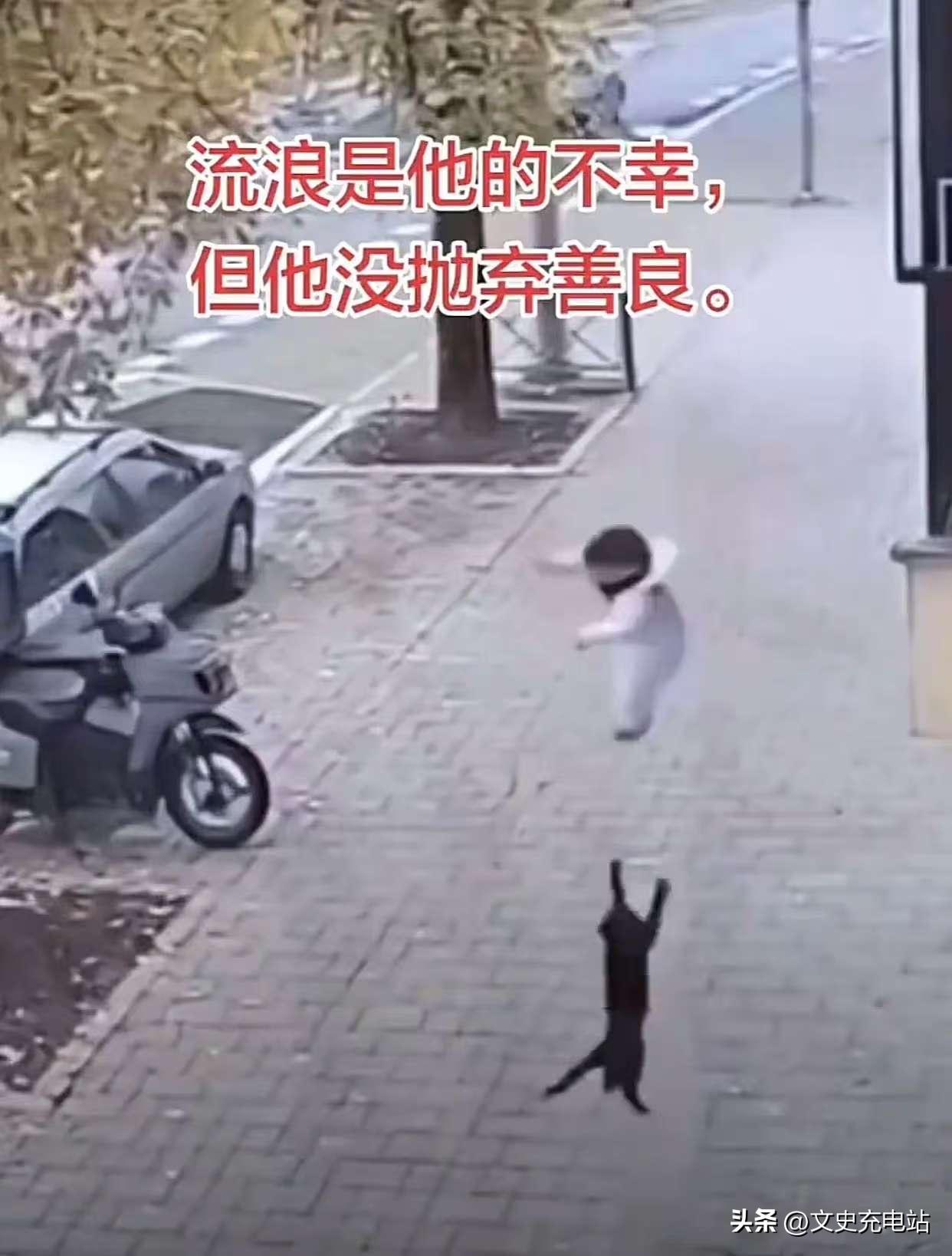 万物皆有灵！浙江杭州，一名三岁宝宝在阳台玩耍，结果大人一个疏忽，孩子突然从阳台掉