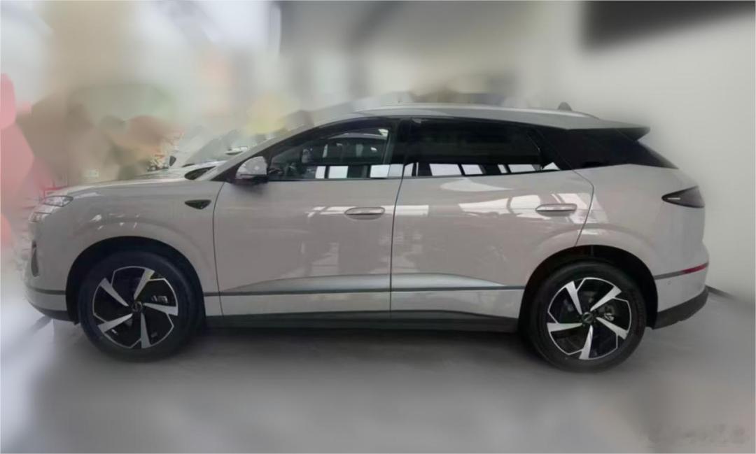 海狮06闪充版销售反馈：1，现在每天到店的客户，有30%都是来看这车的，当然以前