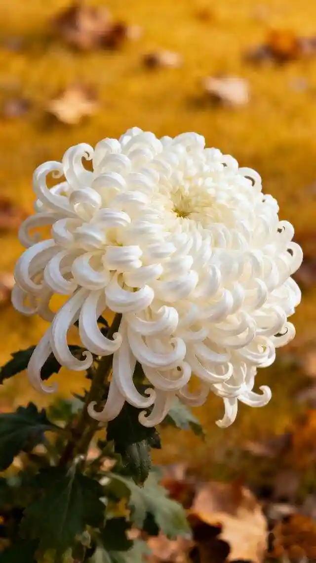 同事张姐早上来上班，屁股还没等坐热呢，家里来信了：公爹猝死，赶紧回家！

单位赶