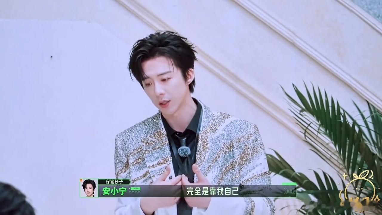 刘宇宁白手起家刘宇宁有今天的成就全靠自己 安小宁活成理想模样！拒绝瓜分安家家产，