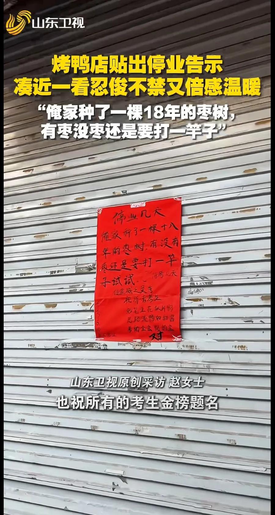 一棵种了18年的枣树，不管有枣没枣，这两天还是要打两竿子的！[呲牙]