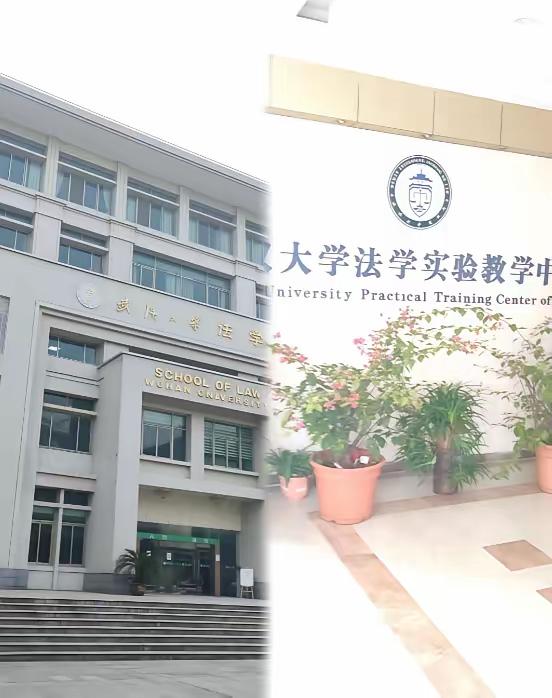 武大已经组建工作专班
一武大的朋友刚私信我，悄悄透露了一个信息：
朋友说几年前教