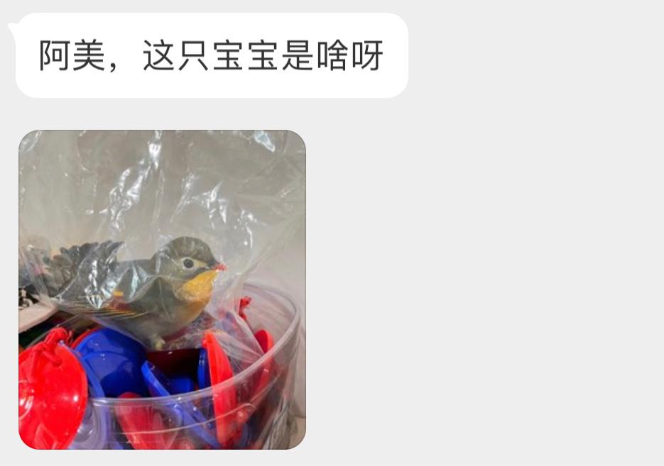 红嘴相思鸟，二级保护鸟类孩子怎么在塑料袋🙊 ​​​