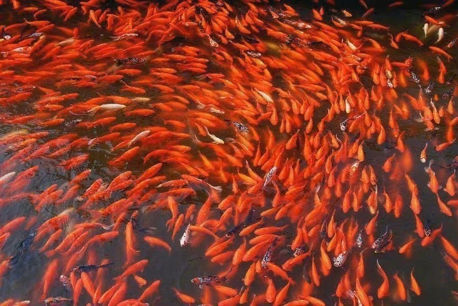 从现在开始，所有好运奔向你而来。 ​​​