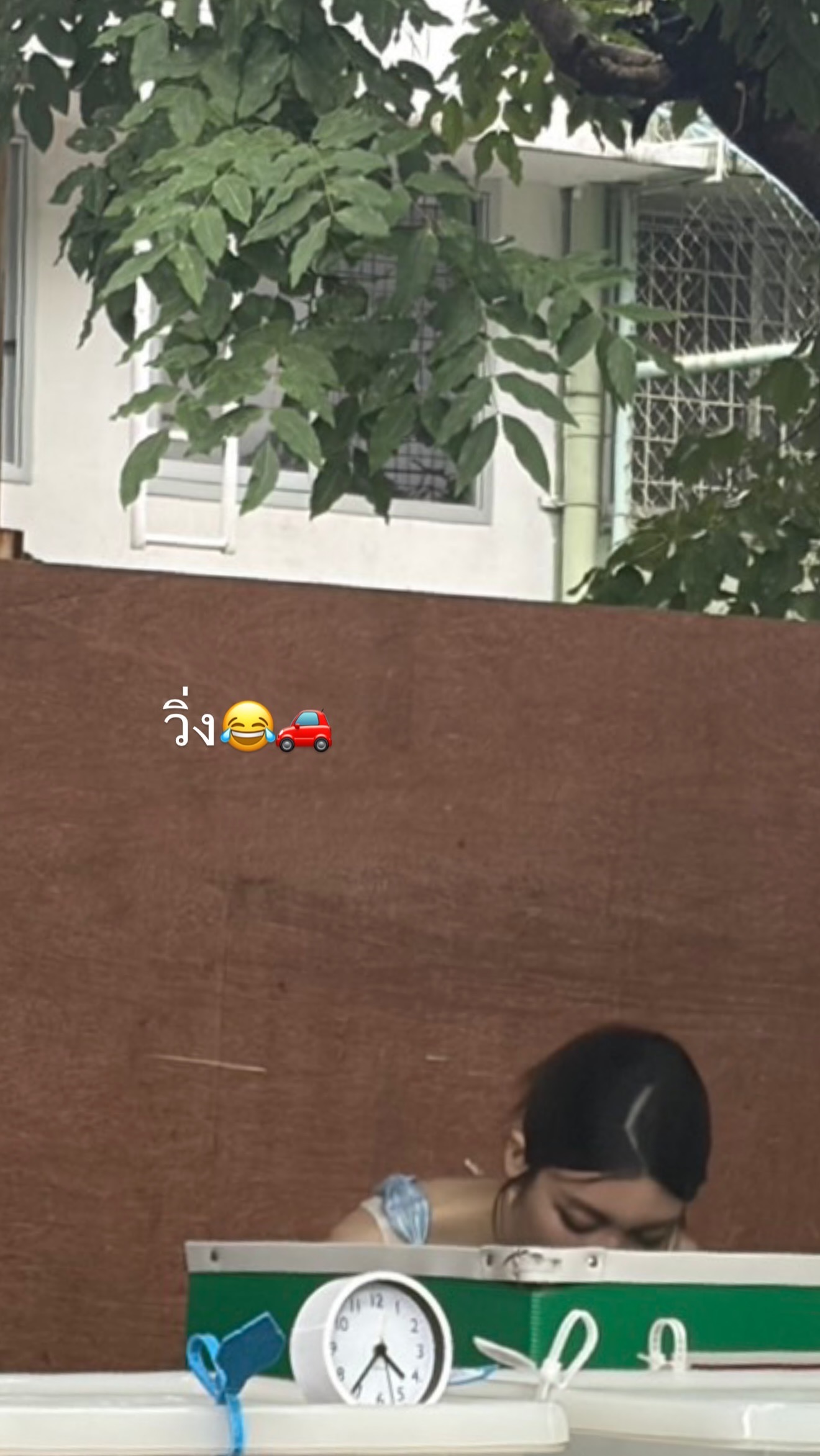 好事会花生 