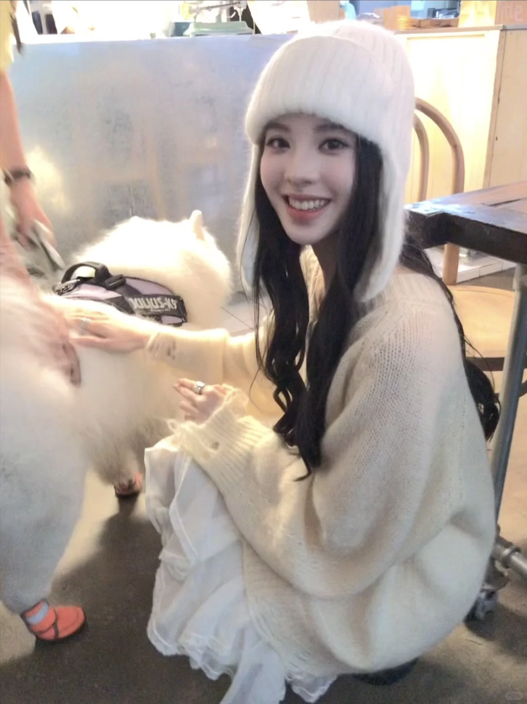 好喜欢狗狗🐶🐩呜呜