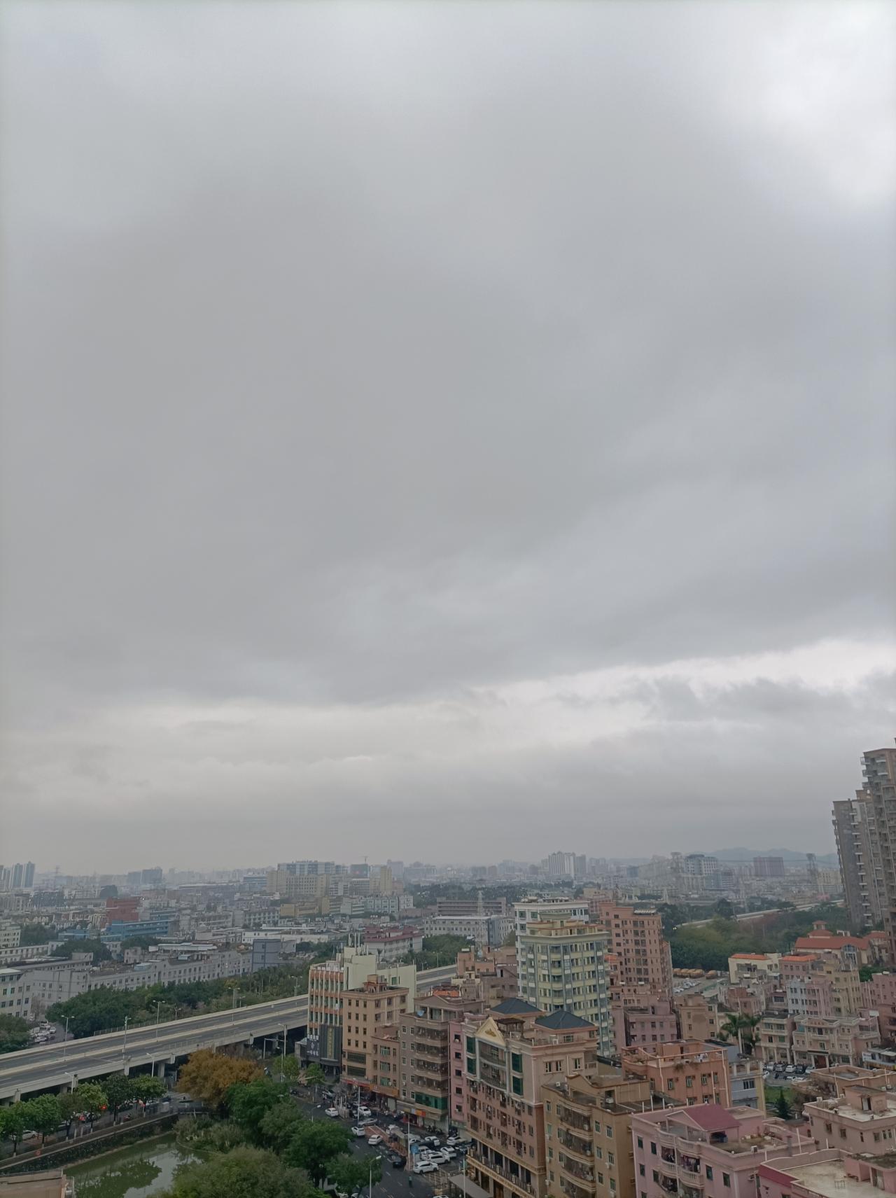 新年爱好打卡今日深圳多云转晴了，可以出去看看玩玩了，惊蛰了，雨水也多了，小区里的