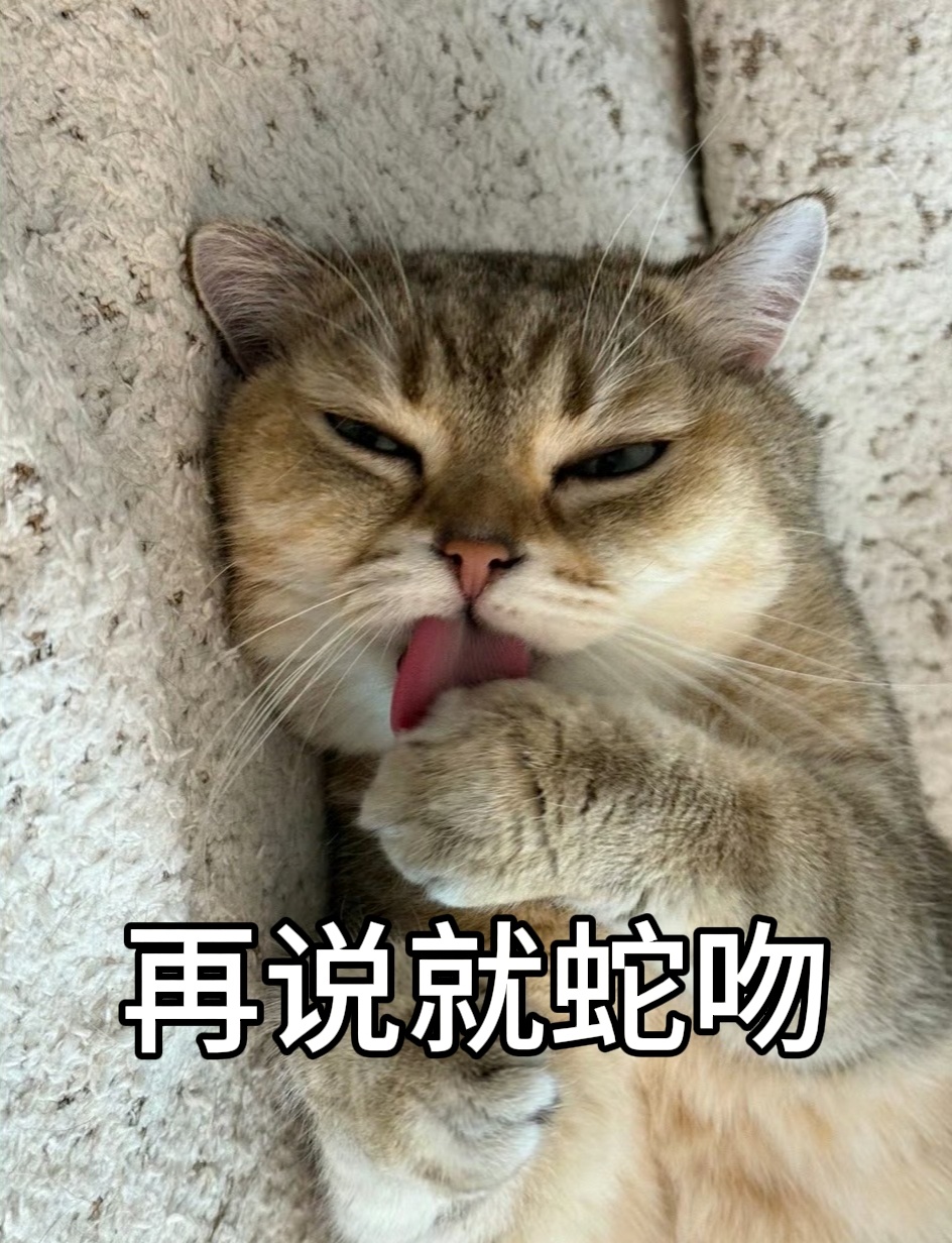 沈梦瑶粉丝实时号测试专用在否 
