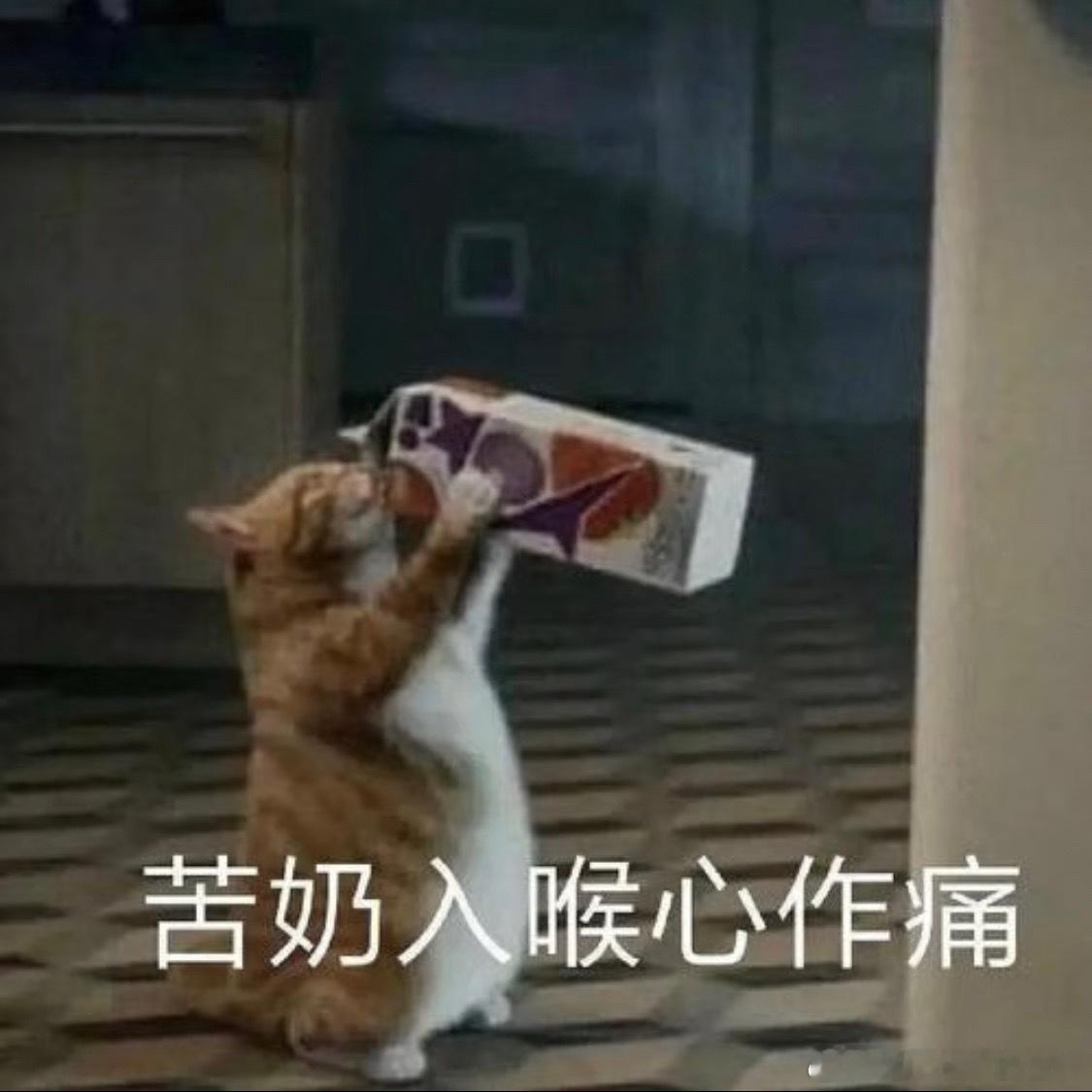 井柏然孙千偷偷牵手有女盆友还营销这个角度，老辈子为了翻红献祭了不少人，下头下头 