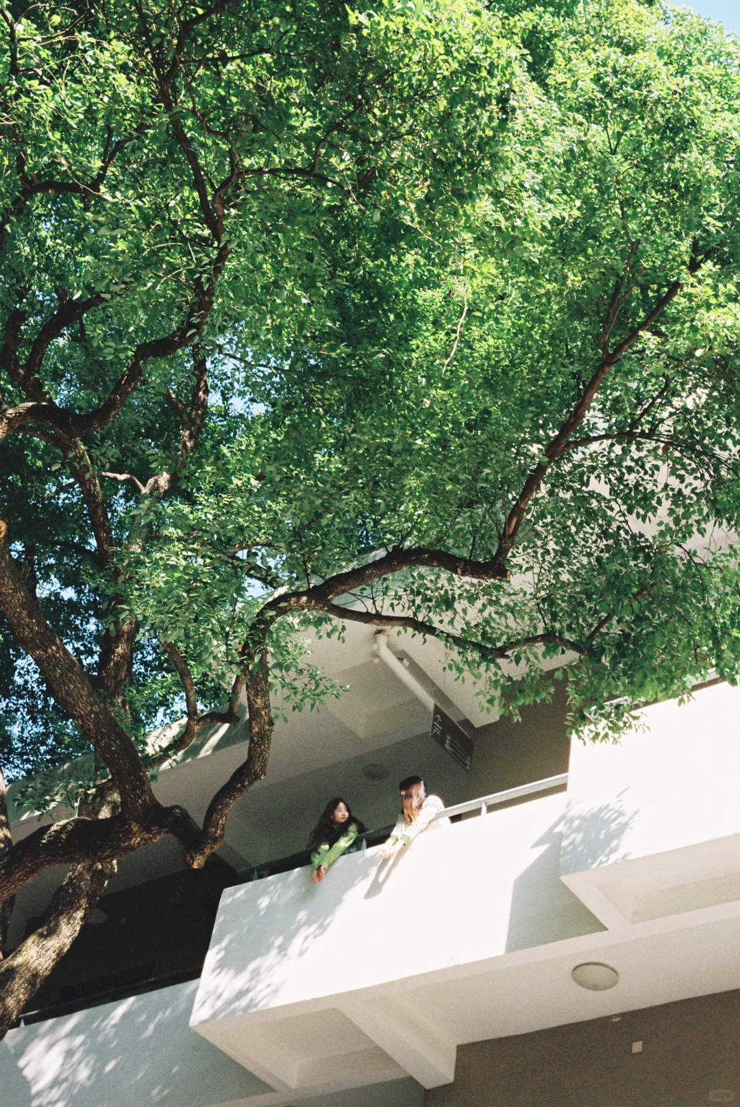 Say you love me too!!☆*:🪴