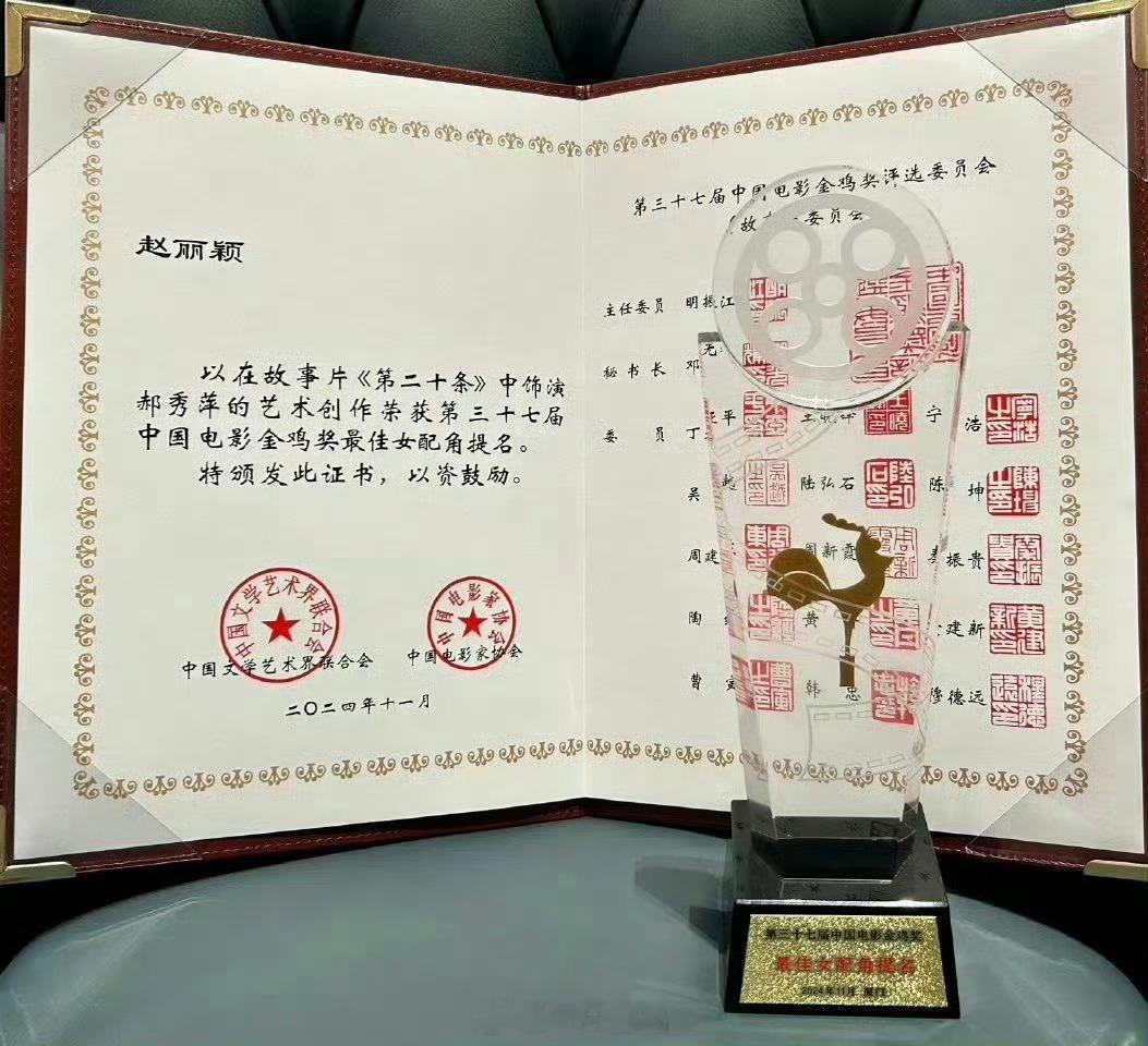 去年今天，赵丽颖凭借《第二十条》郝秀萍一角提名金鸡奖最佳女配角，真正全网好评，出