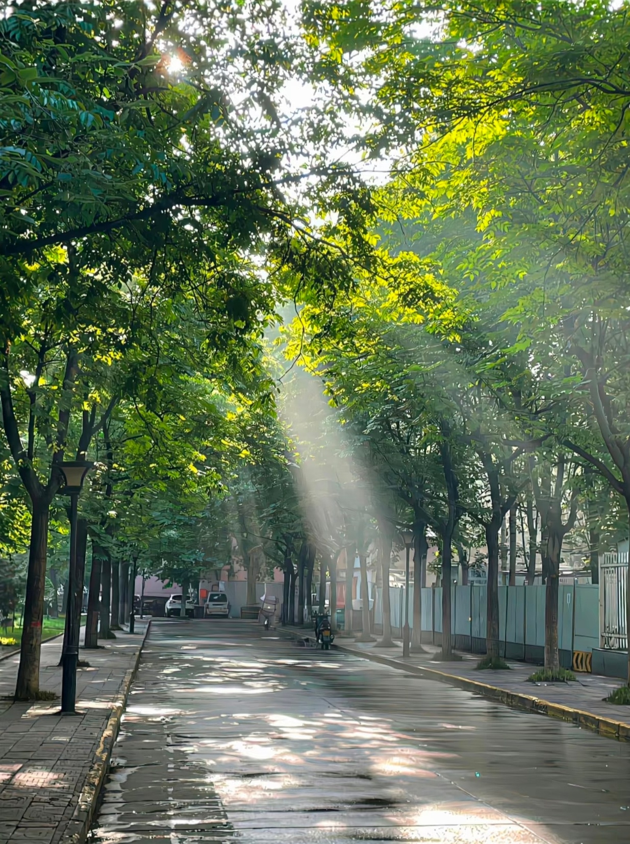 晨光向暖，万事顺遂一朝晨光，一寸清欢——早安