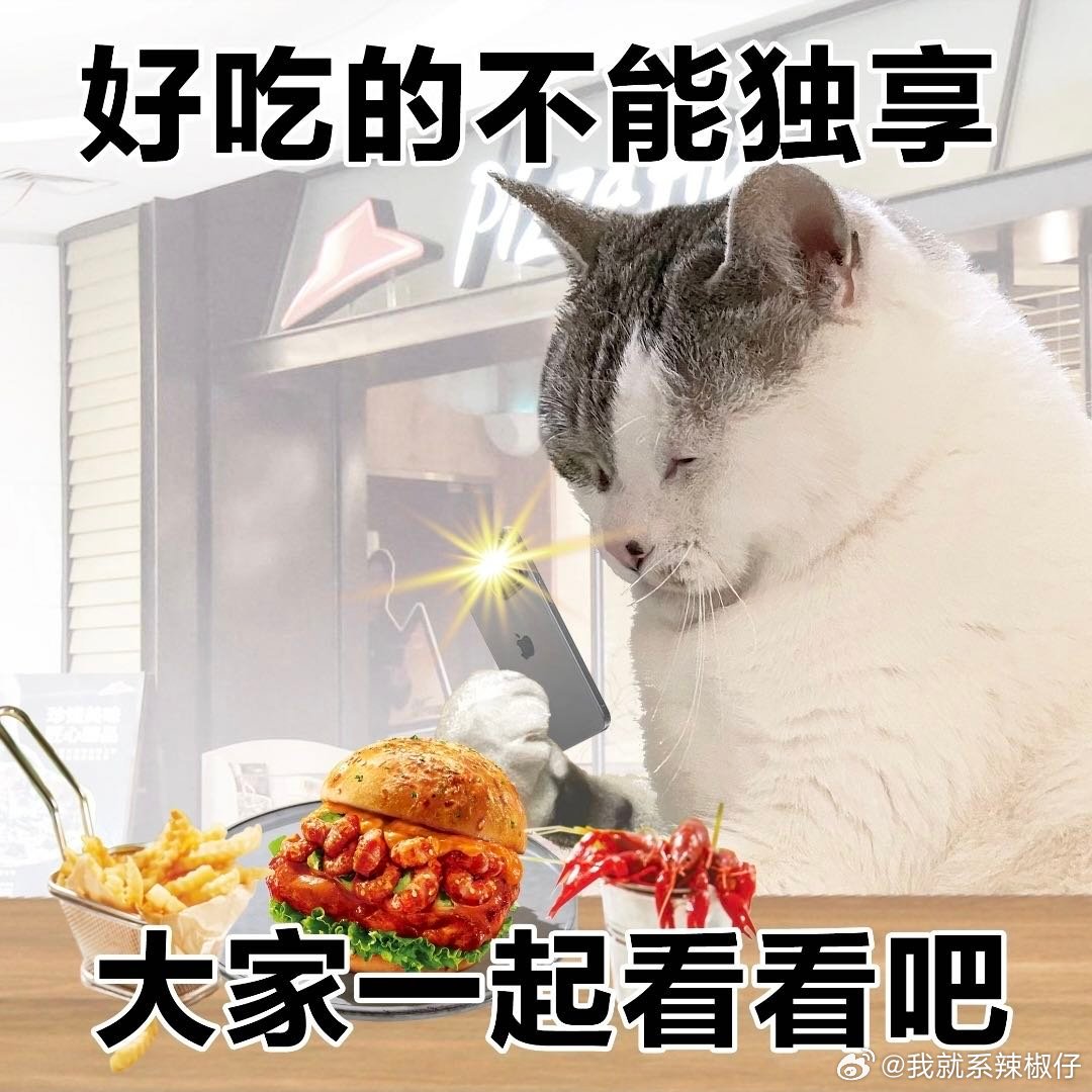 在上海点外卖也要讲品质 ✨从前点外卖只求填饱肚子，如今在上海吃外卖讲究质感，从口