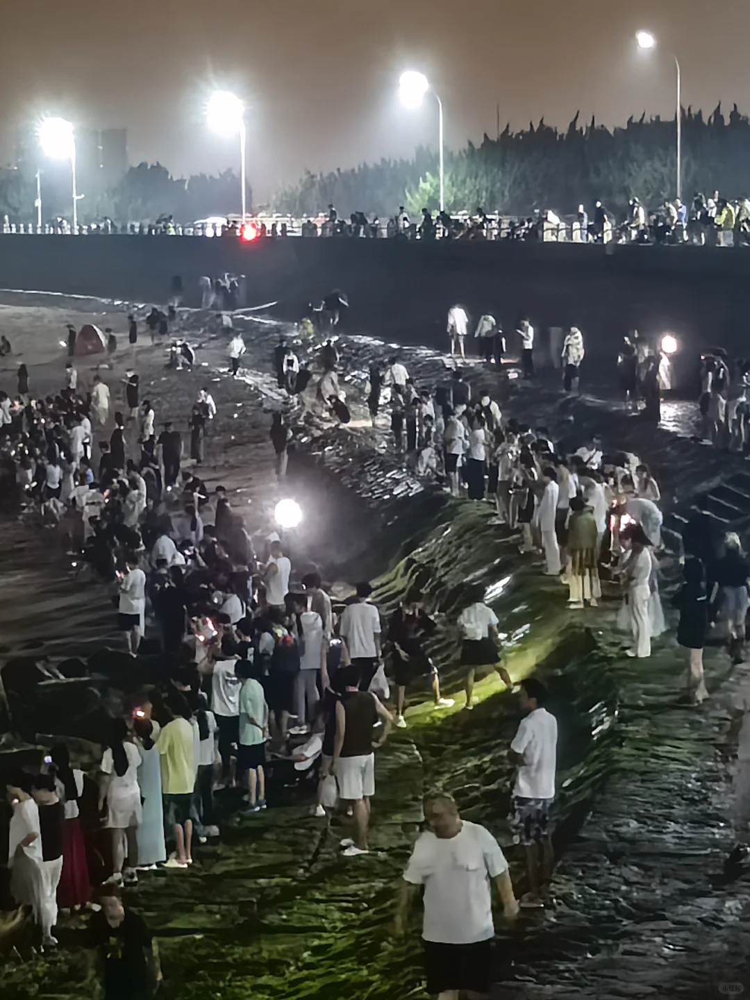 8.25凌晨3点八大峡海边看见了蓝色眼泪