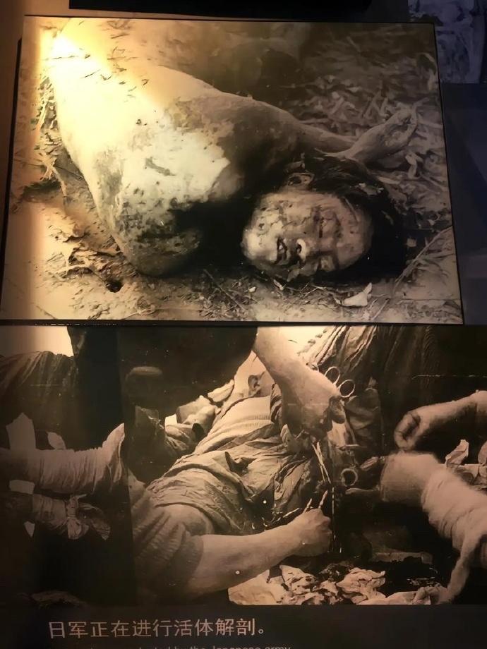 一个土澳人了解了日本731事件和南京大屠杀后，感觉很震惊，正好有认识的日本人，于