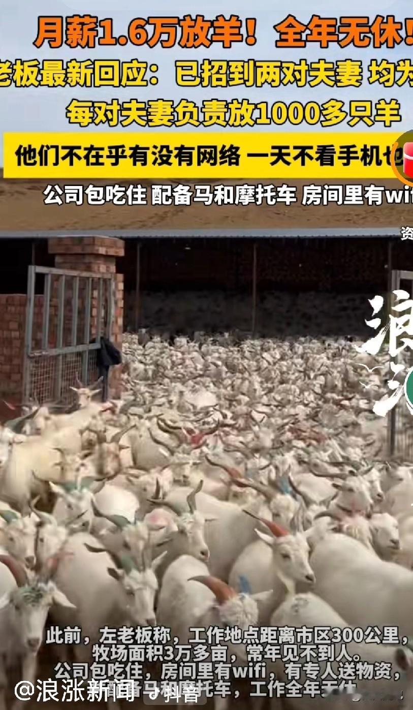 月薪1.6万放羊 两对夫妻抢着干 背后原因很现实

内蒙古有个老板，月薪1.6万