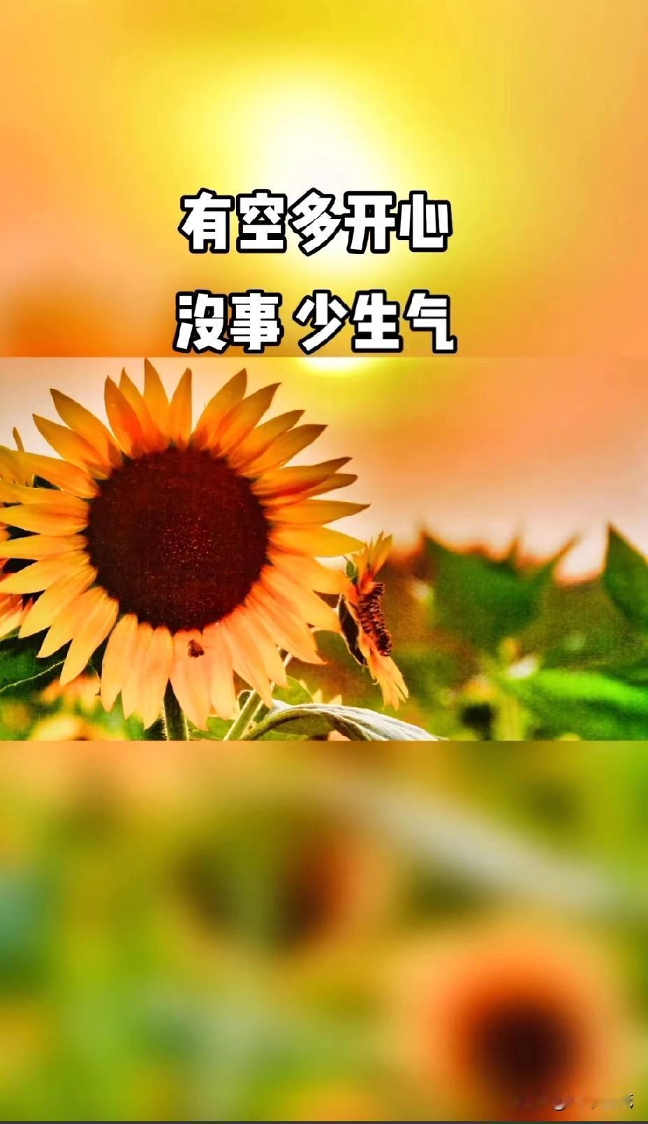 今日小确幸，快乐不打烊
生活就像一场奇妙的旅程，总有些不经意的小事，能让我们的心