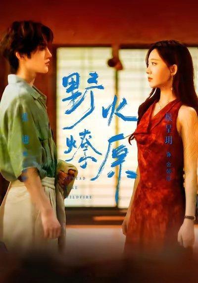《野火燎原》侯呈玥 张翅《侦探小姐 警长先生》林秋奈 曾辉今晚同时开播，暑期档热