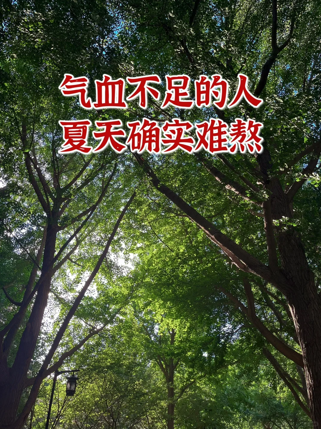 气血不足的人，夏天最难熬