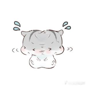 听着就没胃口了，印度的卫生和饮食真的是不敢恭维。 