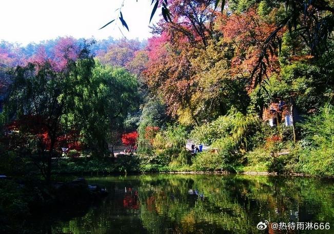 【岳麓山】岳麓山风景名胜区位于古城长沙湘江两岸，由丘陵、低山、江、河、湖泊、自然